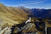 39 Stelina in posizione panoramica verso i Giganti Orobici